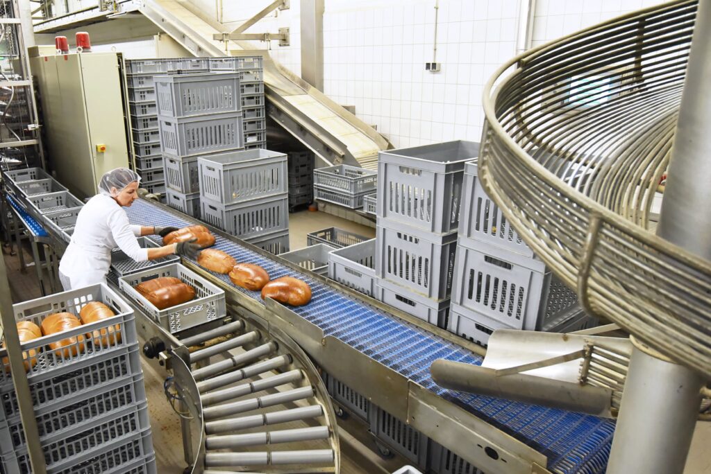 Production line in a company specialising in industrial bread