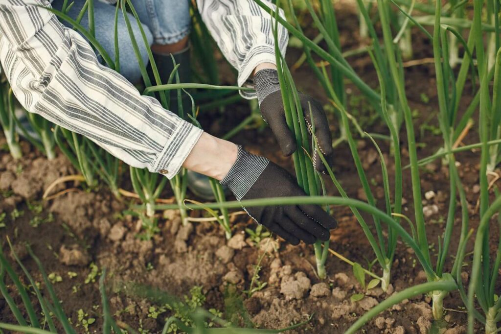 Un agriculteur qui suit les principes de l’agriculture durable